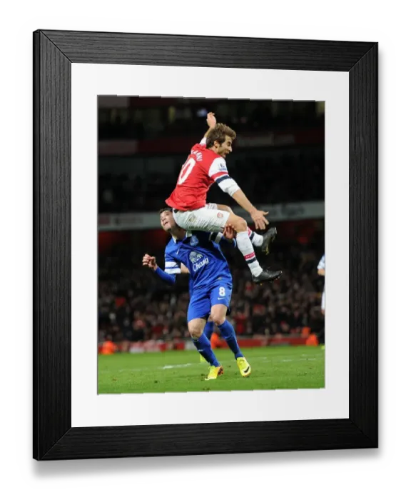 Framed Print : Mathieu Flamini (Arsenal) Bryan Oviedo (Everton). Arsenal 1: 1 Everton. Barclays Premier League Framed Print : Mathieu Flamini (Arsenal) Bryan Oviedo (Everton). Arsenal 1: 1 Everton. Barclays Premier League