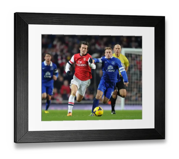Framed Print : Clash of Midfielders: Rosicky vs. Delofeu in Arsenal vs. Everton Premier League Showdown Framed Print : Clash of Midfielders: Rosicky vs. Delofeu in Arsenal vs. Everton Premier League Showdown