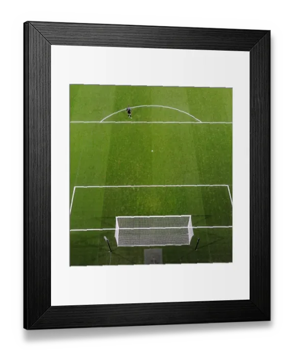 Framed Print : Wojciach Szczesny (Arsenal). Arsenal 1: 1 Everton. Barclays Premier League. Emirates Stadium