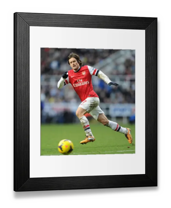 Framed Print : Tomas Rosicky in Action: Newcastle United vs. Arsenal, Premier League 2013-14 Framed Print : Tomas Rosicky in Action: Newcastle United vs. Arsenal, Premier League 2013-14