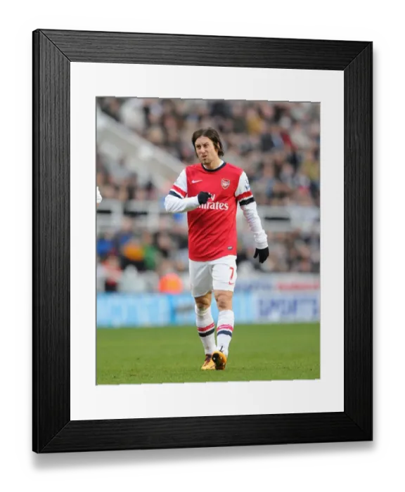 Framed Print : Tomas Rosicky: Star Performance Against Newcastle United, Premier League 2013-14 Framed Print : Tomas Rosicky: Star Performance Against Newcastle United, Premier League 2013-14