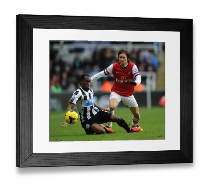 Framed Print : Rosicky's Intense Battle: Newcastle United vs Arsenal (2013-14)