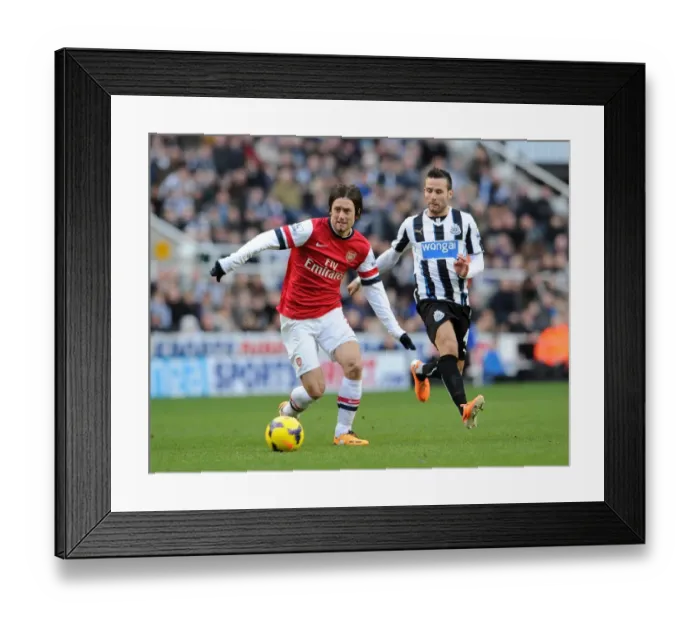 Framed Print : Rosicky vs. Cabaye: Clash of Midfield Titans - Newcastle United vs. Arsenal (2013-14)