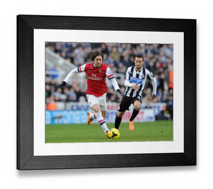 Framed Print : Rosicky vs Cabaye: Intense Battle in Newcastle United vs Arsenal, Premier League 2013-14