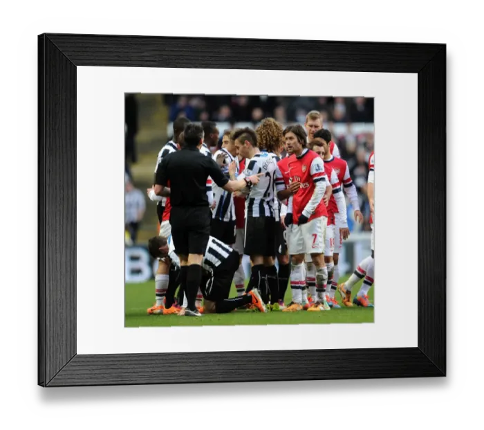 Framed Print : Tomas Rosicky (Arsenal) chats to referee Lee Probert. Newcastle United 0: 1 Arsenal