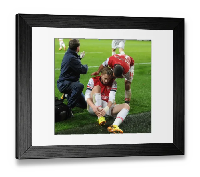 Framed Print : Arsenal's Nicklas Bendtner Celebrates Goal and Injury with Theo Walcott and Colin Lewin (Arsenal v Cardiff City, 2014) Framed Print : Arsenal's Nicklas Bendtner Celebrates Goal and Injury with Theo Walcott and Colin Lewin (Arsenal v Cardiff City, 2014)
