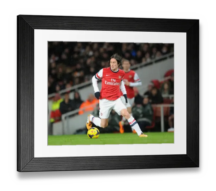 Framed Print : Tomas Rosicky in Action: Arsenal vs. Cardiff City, Premier League 2013-14