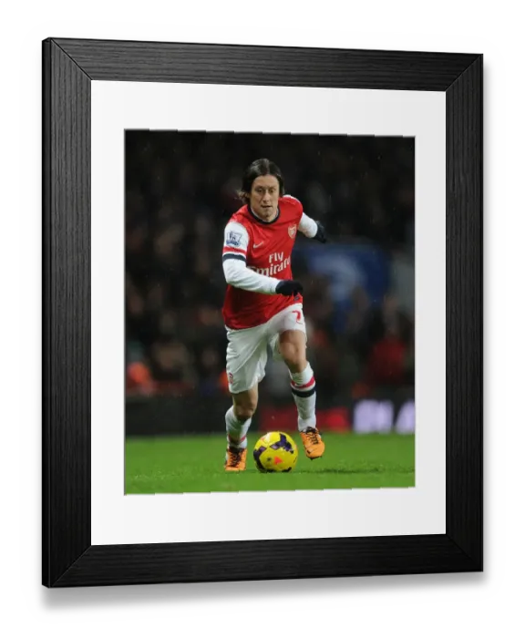 Framed Print : Arsenal's Tomas Rosicky in Action against Cardiff City (2013-14) Framed Print : Arsenal's Tomas Rosicky in Action against Cardiff City (2013-14)
