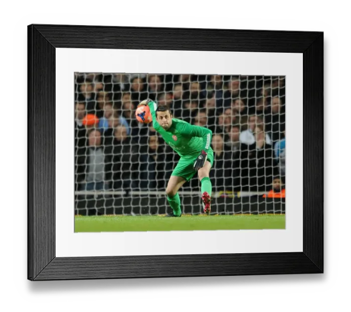 Framed Print : Lukas Fabianski (Arsenal). Arsenal 2: 0 Tottenham Hotspur. FA Cup 3rd Round. Emirates Stadium