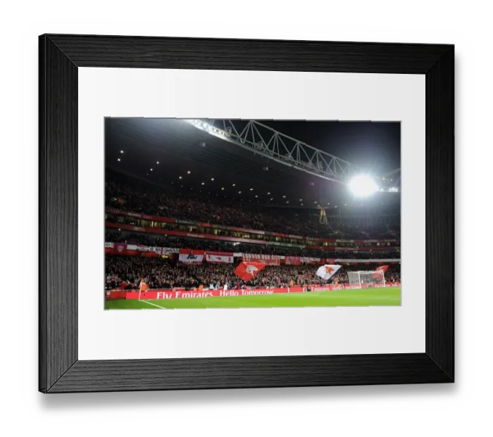 Framed Print : Arsenal vs. Tottenham Hotspur: Unwavering Fan Support in the FA Cup Third Round (2013-14)