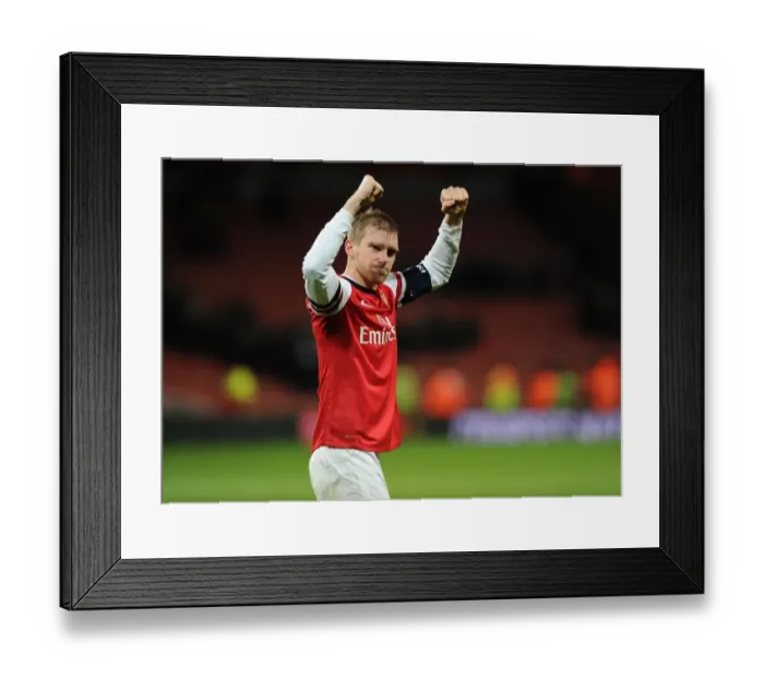 Framed Print : Per Mertesacker's Celebration: Arsenal's FA Cup Triumph Over Tottenham (2013-14)