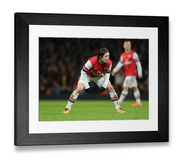 Framed Print : Arsenal's Tomas Rosicky in Action Against Tottenham in the FA Cup Third Round Framed Print : Arsenal's Tomas Rosicky in Action Against Tottenham in the FA Cup Third Round