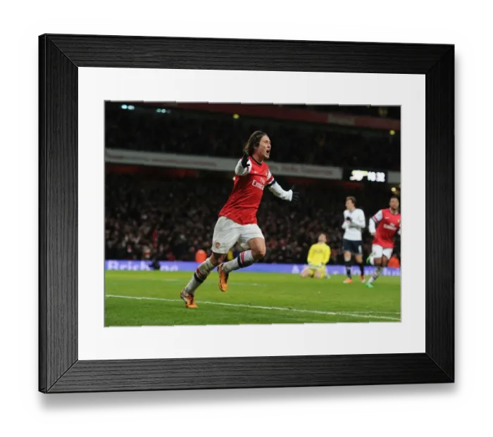 Framed Print : Rosicky's Brace: Arsenal Triumphs Over Tottenham in FA Cup Third Round Framed Print : Rosicky's Brace: Arsenal Triumphs Over Tottenham in FA Cup Third Round