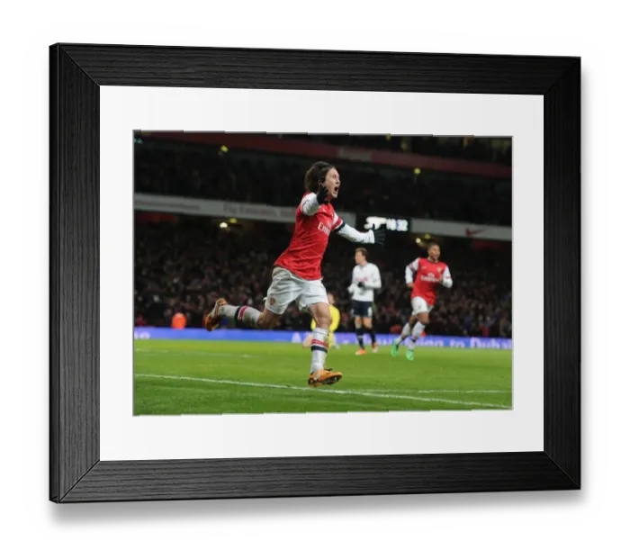 Framed Print : Arsenal's Rosicky Scores Brace: FA Cup Victory Over Tottenham (2014)