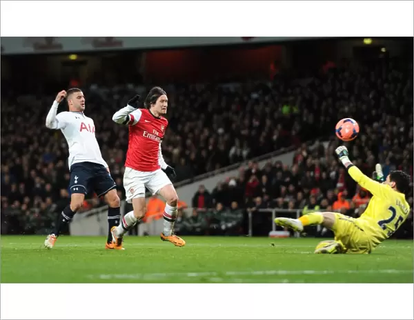Tomas Rosicky Scores Stunner: Arsenal's FA Cup Upset Over Tottenham, 2013-14