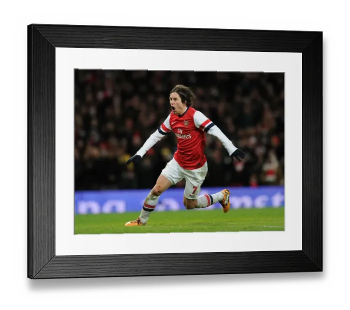 Framed Print : Arsenal's Double Victory: Rosicky's Brace Secures FA Cup Triumph Over Tottenham Framed Print : Arsenal's Double Victory: Rosicky's Brace Secures FA Cup Triumph Over Tottenham