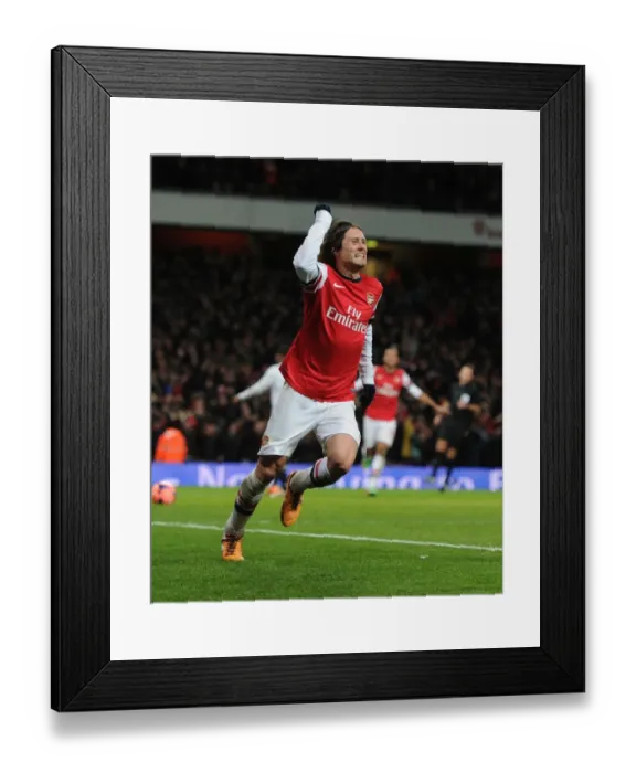 Framed Print : Arsenal's Rosicky Scores Brace: FA Cup Triumph Over Tottenham (2014) Framed Print : Arsenal's Rosicky Scores Brace: FA Cup Triumph Over Tottenham (2014)