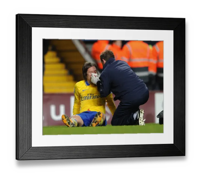 Framed Print : Arsenal's Rosicky Receives Medical Attention: Aston Villa vs Arsenal, Premier League 2013-14 Framed Print : Arsenal's Rosicky Receives Medical Attention: Aston Villa vs Arsenal, Premier League 2013-14