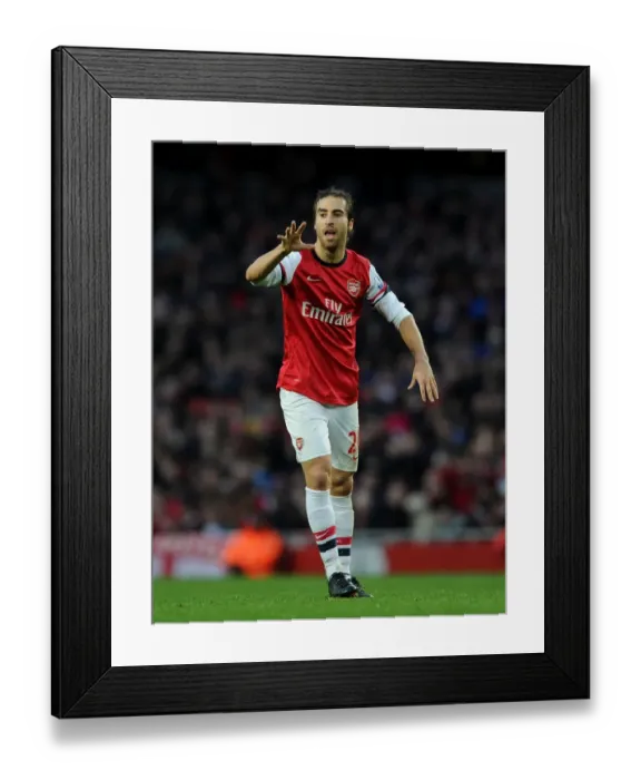 Framed Print : Mesut Ozil in Action: Arsenal vs Fulham, Premier League 2013-14