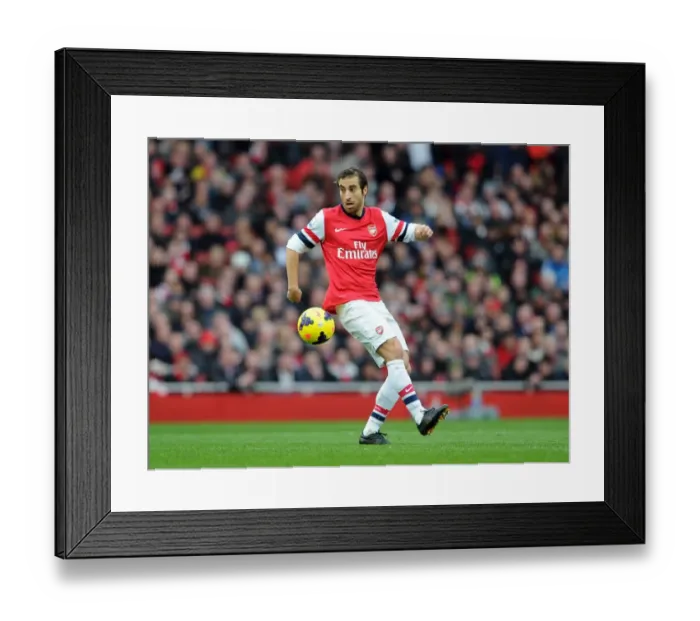 Framed Print : Mathieu Flamini (Arsenal). Arsenal 2: 0 Fulham. Barclays Premier League. Emirates Stadium, 18 / 1 / 14 Framed Print : Mathieu Flamini (Arsenal). Arsenal 2: 0 Fulham. Barclays Premier League. Emirates Stadium, 18 / 1 / 14