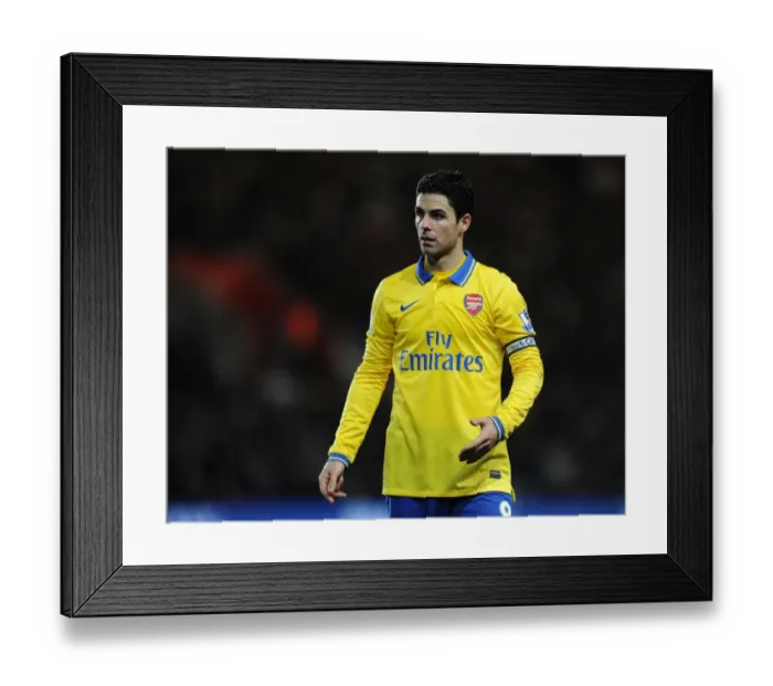 Framed Print : Mikel Arteta Leads Arsenal Against Southampton in Premier League Clash (2013-14) Framed Print : Mikel Arteta Leads Arsenal Against Southampton in Premier League Clash (2013-14)