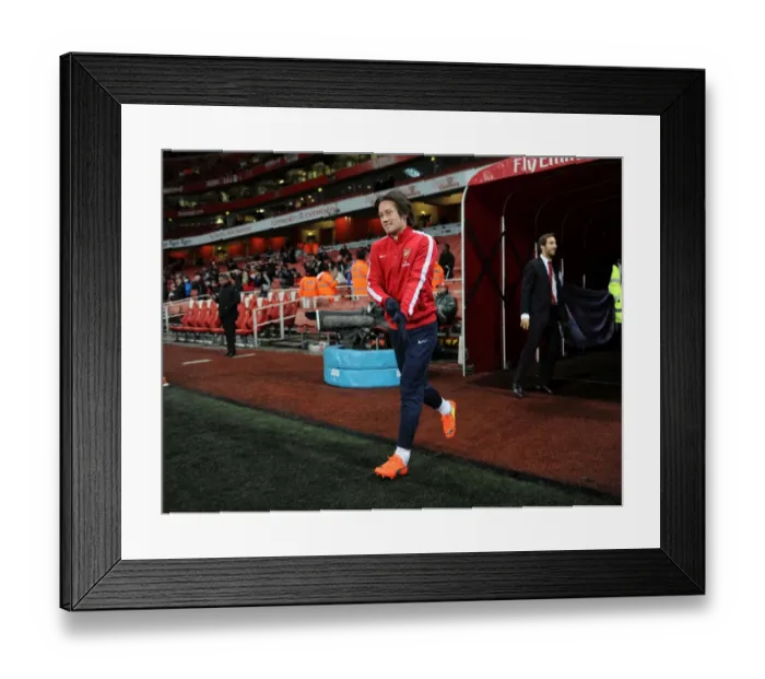 Framed Print : Arsenal's Tomas Rosicky Gears Up for Manchester United Clash in Premier League