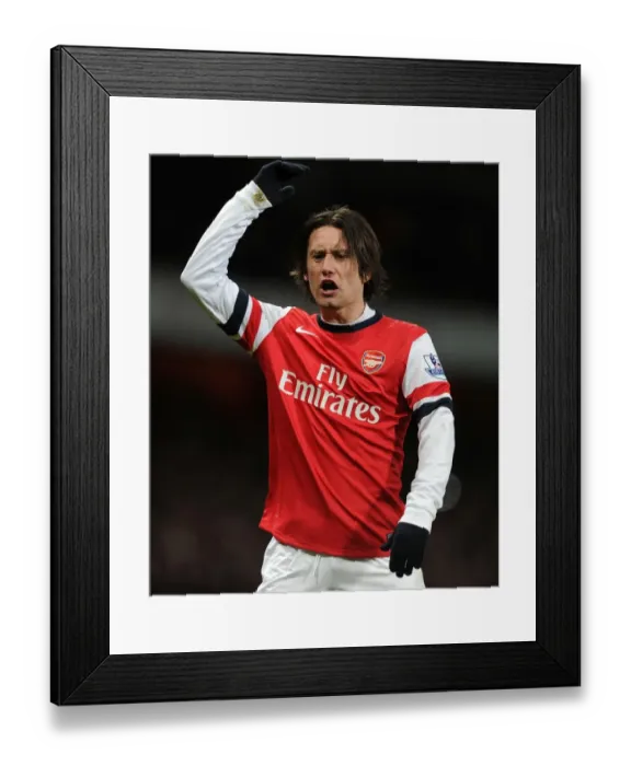 Framed Print : Arsenal's Tomas Rosicky in Action Against Manchester United (2013-14)