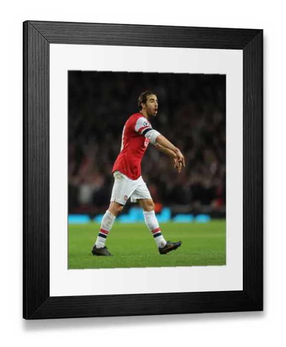 Framed Print : Mathieu Flamini Focus: Arsenal vs. FC Bayern Munich, UEFA Champions League 2013-14 Framed Print : Mathieu Flamini Focus: Arsenal vs. FC Bayern Munich, UEFA Champions League 2013-14