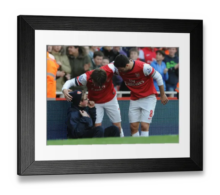 Framed Print : Arsenal's Rosicky and Arteta Celebrate Goal Against Sunderland, 2014 Framed Print : Arsenal's Rosicky and Arteta Celebrate Goal Against Sunderland, 2014