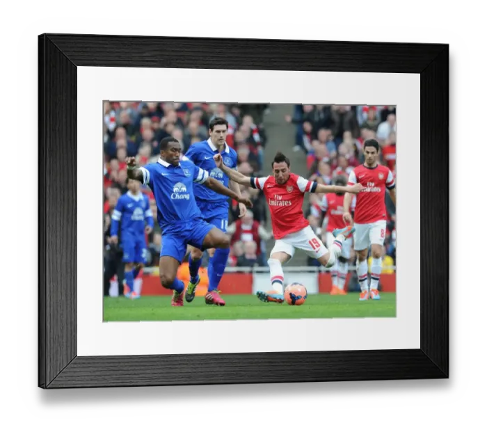 Framed Print : Arsenal's Santi Cazorla Faces Off Against Everton's Sylvain Distin in FA Cup Quarter-Final Showdown Framed Print : Arsenal's Santi Cazorla Faces Off Against Everton's Sylvain Distin in FA Cup Quarter-Final Showdown