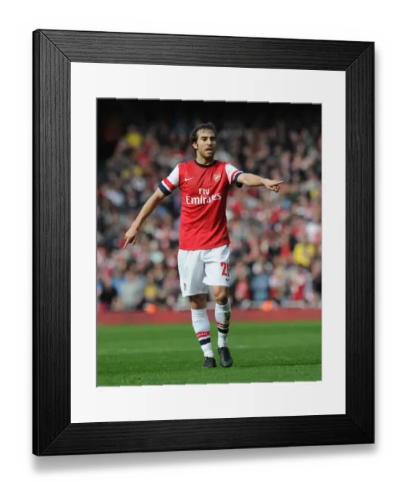 Framed Print : Mathieu Flamini Focused: Arsenal vs Everton, FA Cup Quarter-Final, 2014