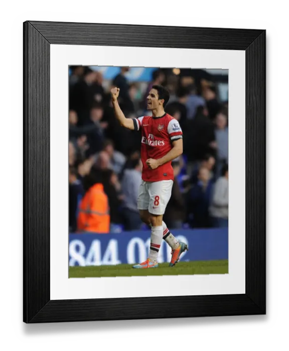 Framed Print : Tottenham Hotspur v Arsenal - Premier League Framed Print : Tottenham Hotspur v Arsenal - Premier League