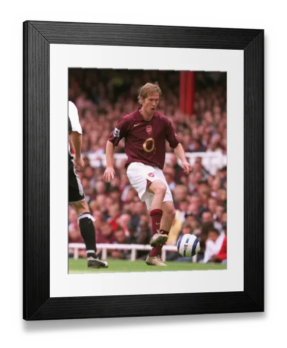 Framed Print : Alex Hleb (Arsenal). Arsenal 2: 0 Newcastle United. FA Premier League Framed Print : Alex Hleb (Arsenal). Arsenal 2: 0 Newcastle United. FA Premier League