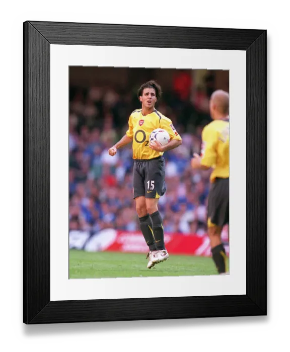 Framed Print : Cesc Fabregas celebrates scoring a goal for Arsenal. Arsenal 1: 2 Chelsea Framed Print : Cesc Fabregas celebrates scoring a goal for Arsenal. Arsenal 1: 2 Chelsea
