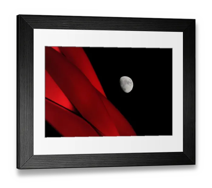 Framed Print : Moonlit Allianz Arena: FC Bayern Munich vs. Arsenal, UEFA Champions League Round of 16 Framed Print : Moonlit Allianz Arena: FC Bayern Munich vs. Arsenal, UEFA Champions League Round of 16