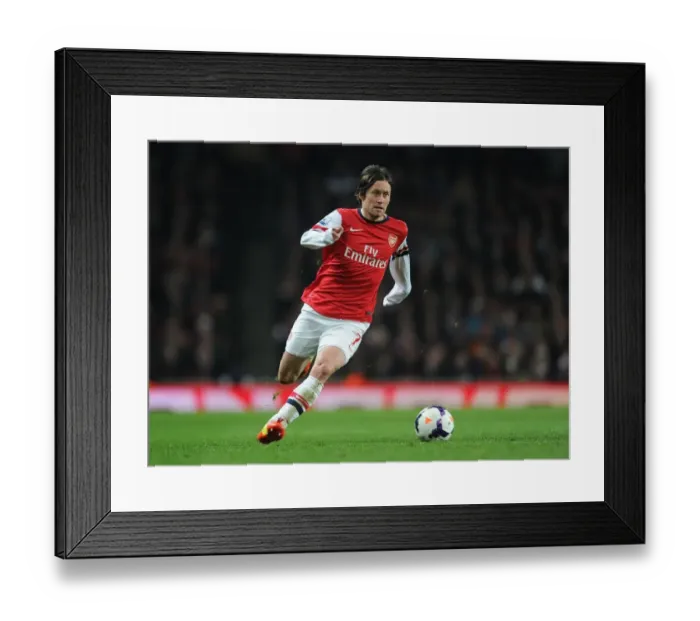 Framed Print : Arsenal's Tomas Rosicky in Action Against Swansea City (2013-14) Framed Print : Arsenal's Tomas Rosicky in Action Against Swansea City (2013-14)