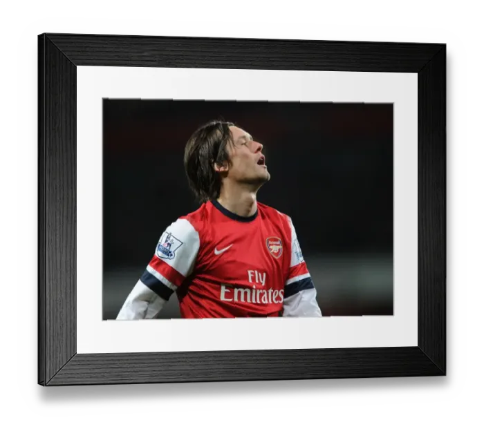 Framed Print : Tomas Rosicky: In Action for Arsenal Against Swansea City (2014) Framed Print : Tomas Rosicky: In Action for Arsenal Against Swansea City (2014)