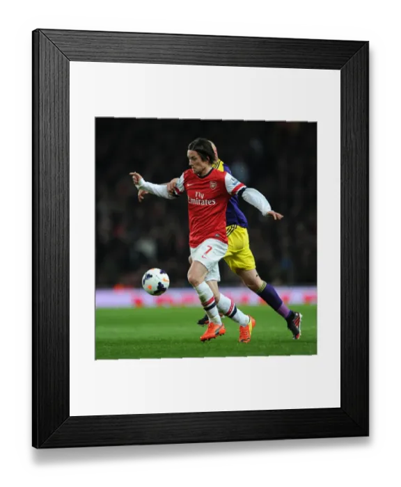 Framed Print : Tomas Rosicky (Arsenal) Jonjo Shelvey (Swansea). Arsenal 2: 2 Swansea City. Barclays Premier League Framed Print : Tomas Rosicky (Arsenal) Jonjo Shelvey (Swansea). Arsenal 2: 2 Swansea City. Barclays Premier League