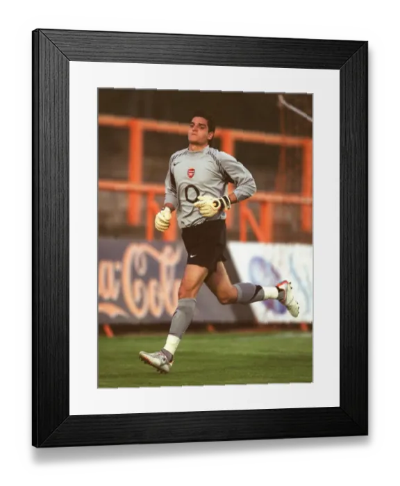 Framed Print : Vito Mannone: In Action for Arsenal Reserves Against Portsmouth Reserves, Underhill Stadium, 21 / 9 / 05