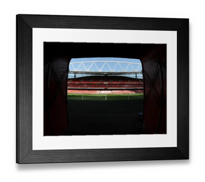 Framed Print : Arsenal vs Manchester City: Emirates Stadium Showdown, Premier League 2013 / 14