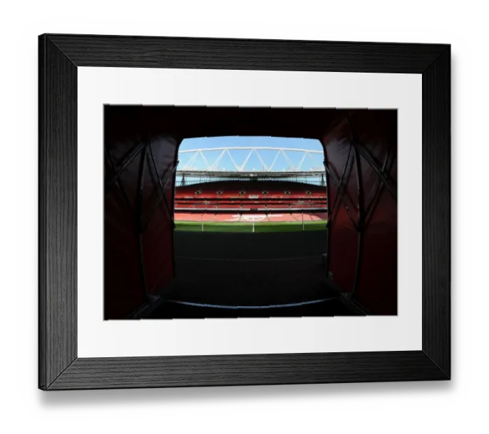 Framed Print : Arsenal vs Manchester City: Emirates Stadium Battle, Premier League 2013 / 14