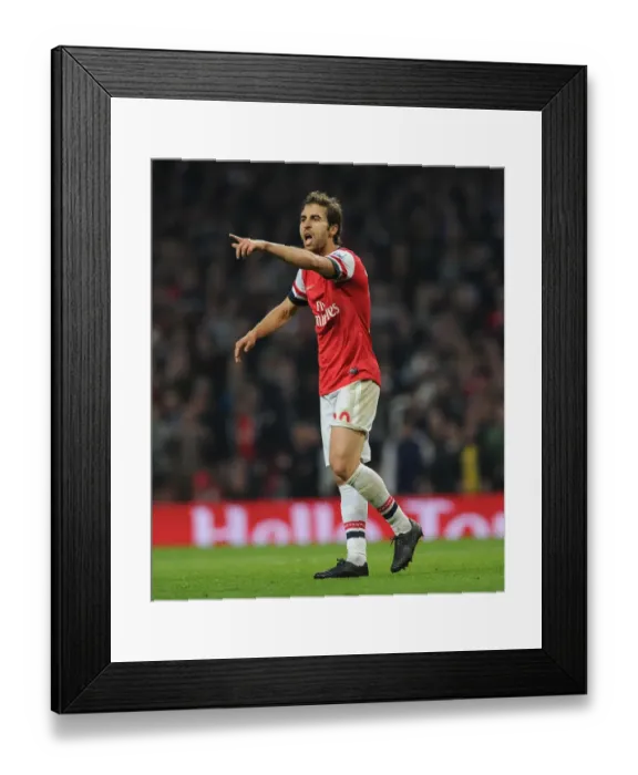 Framed Print : Flamini in Action: Arsenal vs Manchester City, Premier League 2013 / 14