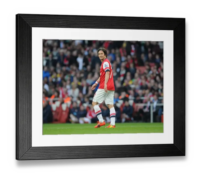 Framed Print : Tomas Rosicky in Action: Arsenal vs Manchester City, Premier League 2013-2014