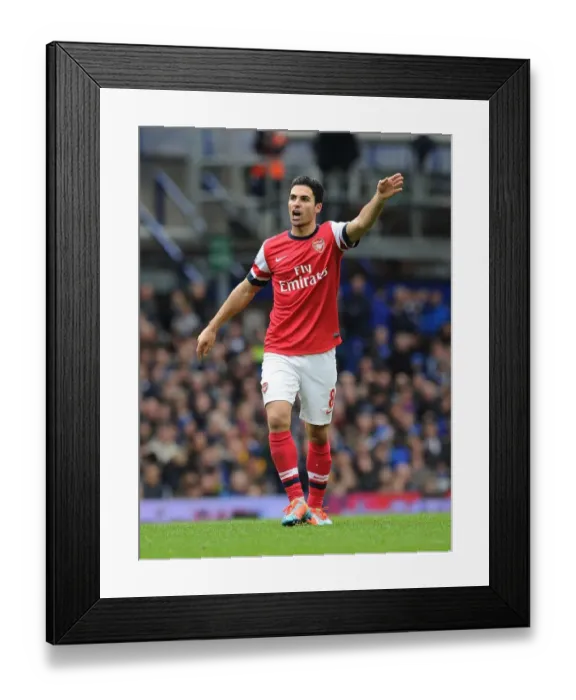 Framed Print : Mikel Arteta Leads Arsenal at Goodison Park (Everton vs Arsenal, Premier League 2013 / 14)