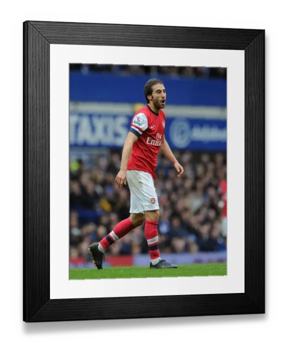 Framed Print : Mathieu Flamini Focused: Everton vs Arsenal, Premier League 2013 / 14