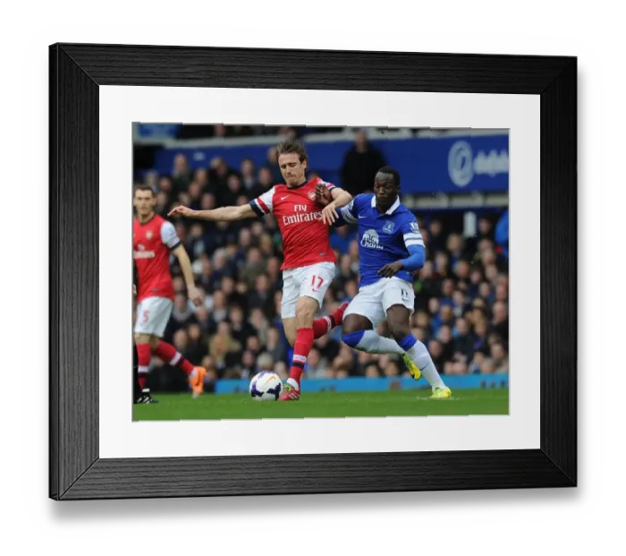 Framed Print : Monreal Holds Off Lukaku: Everton vs Arsenal, Premier League 2013 / 14 Framed Print : Monreal Holds Off Lukaku: Everton vs Arsenal, Premier League 2013 / 14