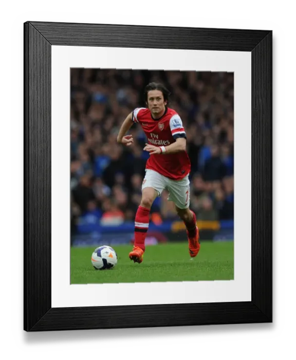 Framed Print : Tomas Rosicky in Action: Everton vs Arsenal, Premier League 2013 / 14