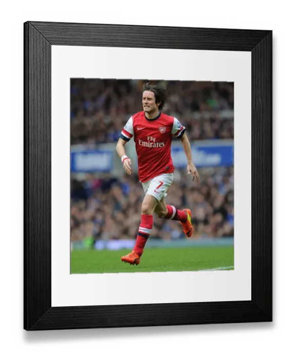 Framed Print : Tomas Rosicky: In Action Against Everton, Premier League 2013 / 14