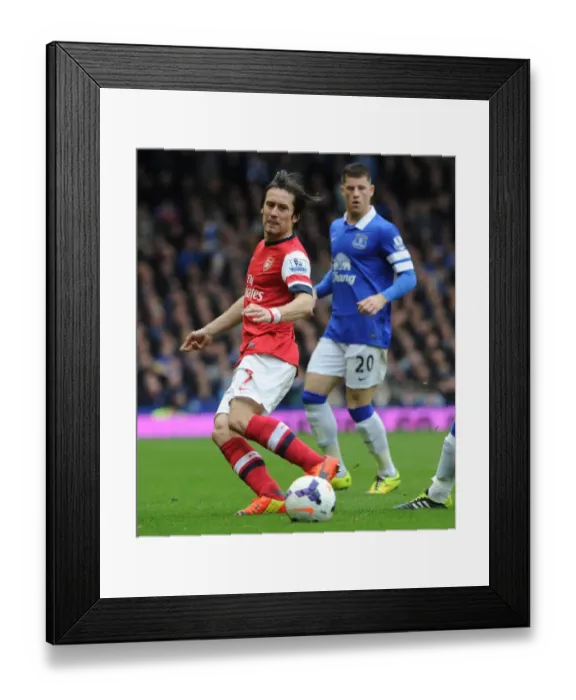 Framed Print : Tomas Rosicky in Action: Everton vs. Arsenal, Premier League 2013-2014