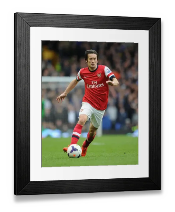 Framed Print : Tomas Rosicky in Action: Everton vs Arsenal, Premier League 2013 / 14 Framed Print : Tomas Rosicky in Action: Everton vs Arsenal, Premier League 2013 / 14